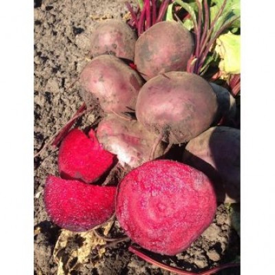 Семена свеклы столовой Марун F1 (25000 семян) Lark Seeds
